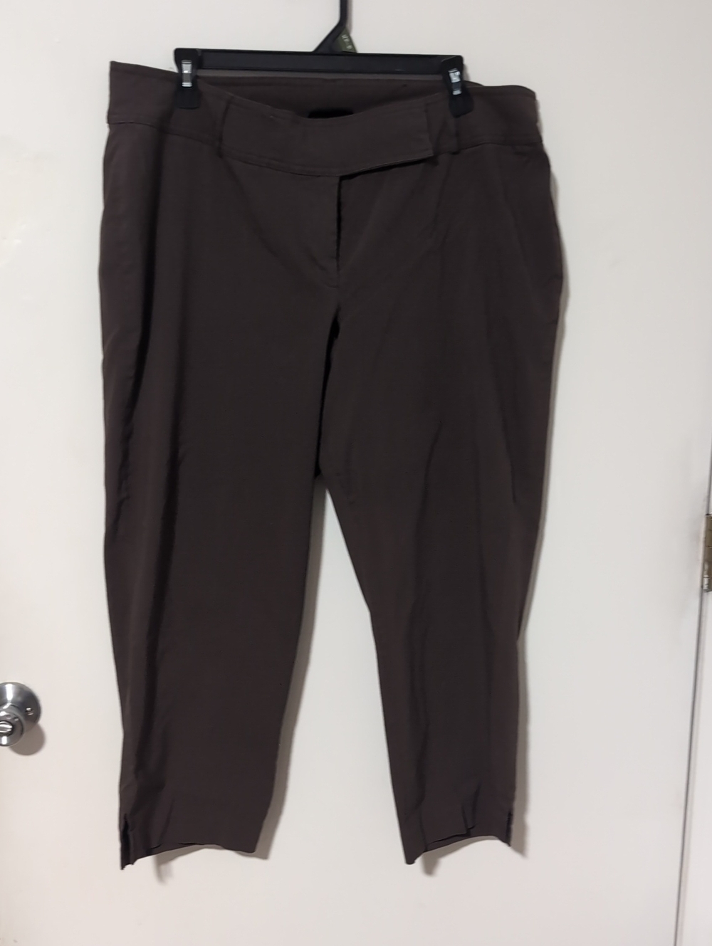 Brown Women's Tailored Ankle Pants